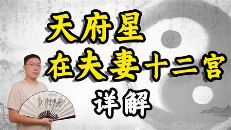 疾厄宮天府|紫微斗數【天府星入疾厄宮】解析